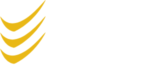 LGI Logistics Group logo