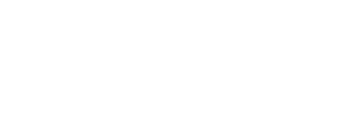 null logo