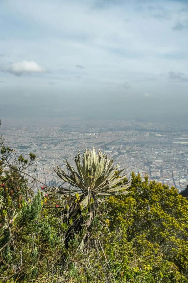 Howdy Bogotá - Bogotá House