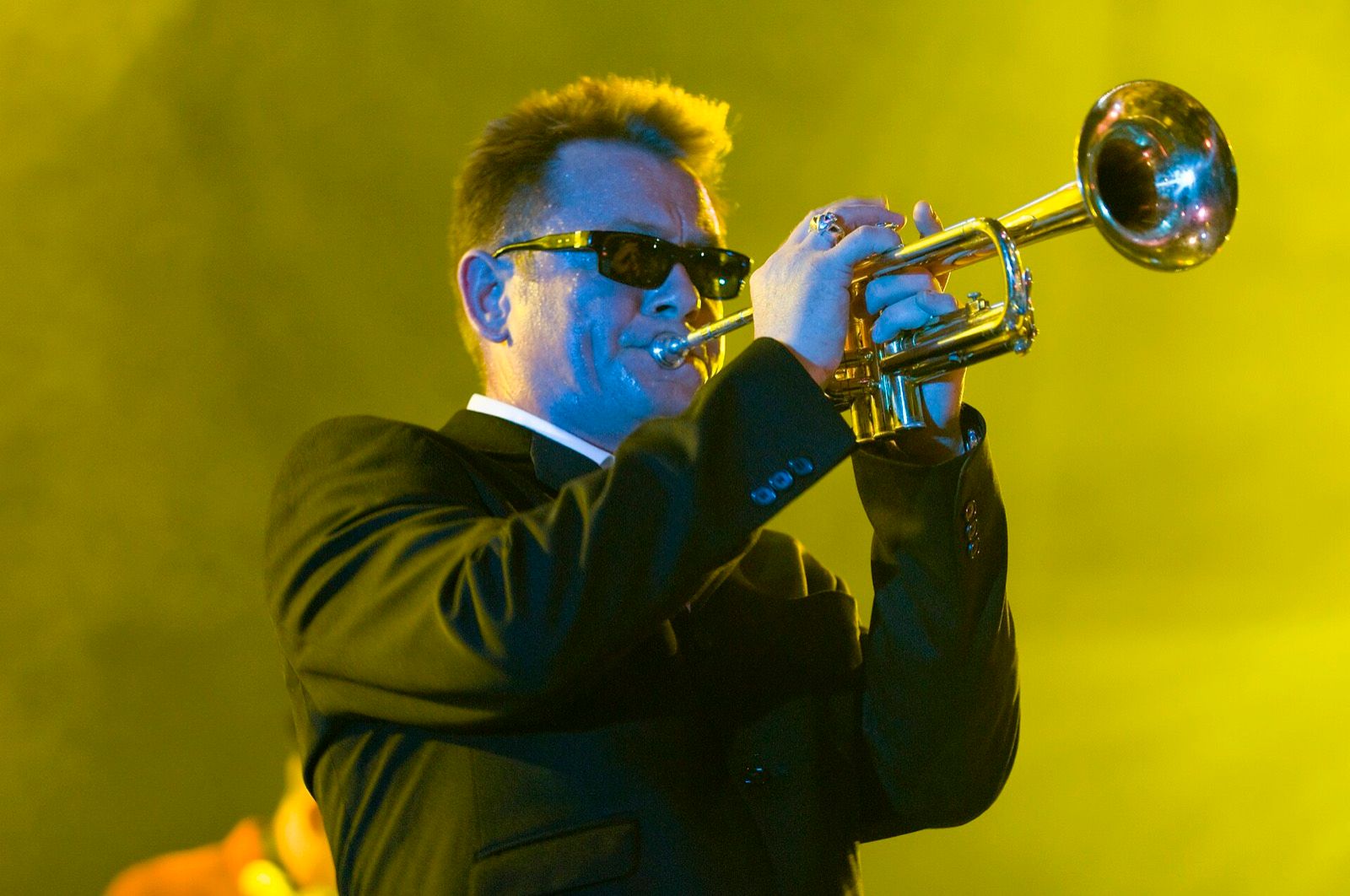 A band playing a live set