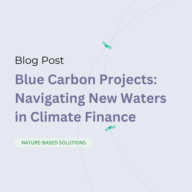 Blue Carbon Projects: Navigating New Waters in Climate Finance