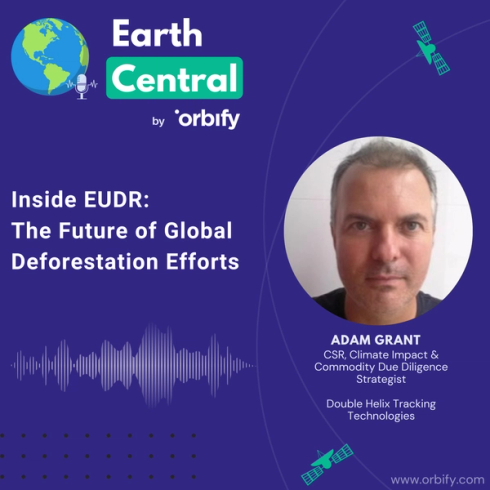 Orbify Interview: Inside EUDR: The Future of Global Deforestation Efforts