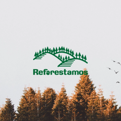 Reforestamos México A.C. Success Story