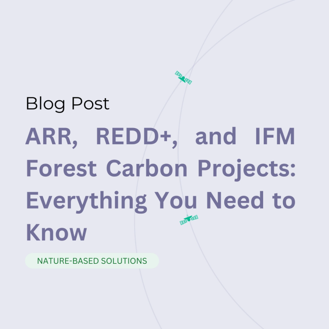 ARR, REDD+, and IFM Forest Carbon Projects: Everything You Need to Know 