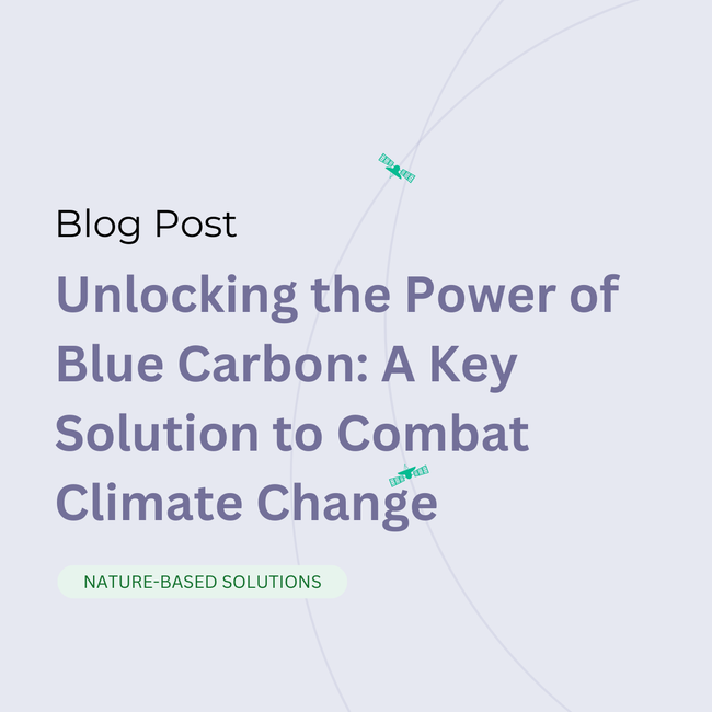 Unlocking the Power of Blue Carbon: A Key Solution to Combat Climate Change