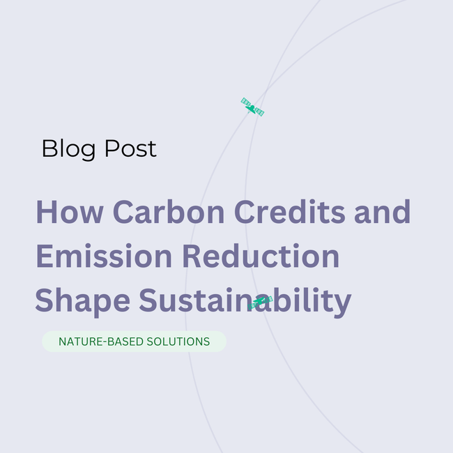 How Carbon Credits and Emission Reduction Shape Sustainability