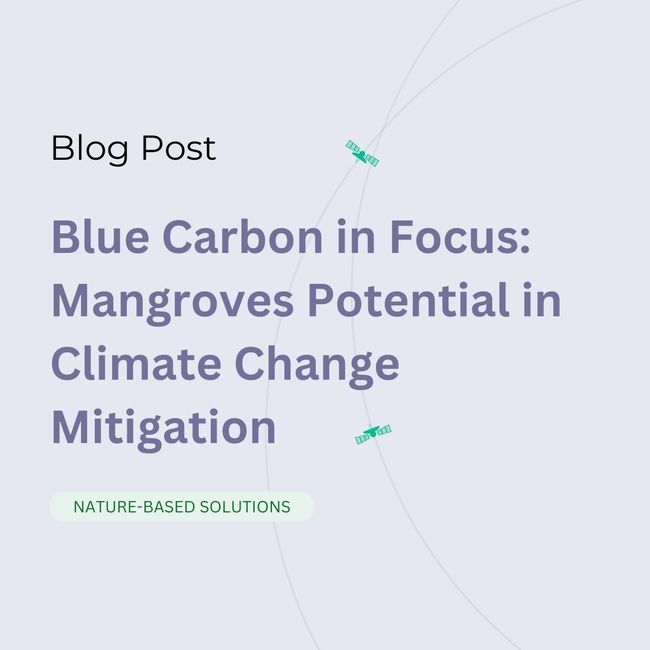 Blue Carbon in Focus: Mangroves Potential in Climate Change Mitigation