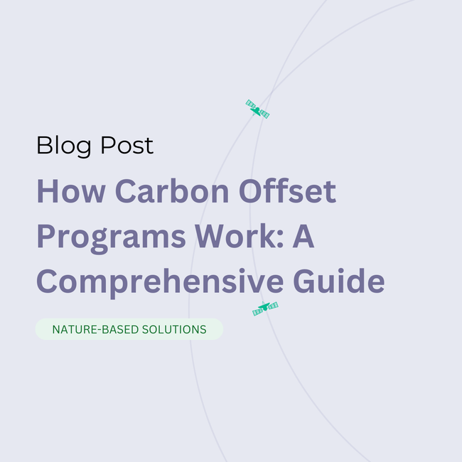 How Carbon Offset Programs Work: A Comprehensive Guide