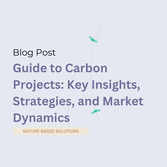 Guide to Carbon Projects: Key Insights, Strategies, and Market Dynamics