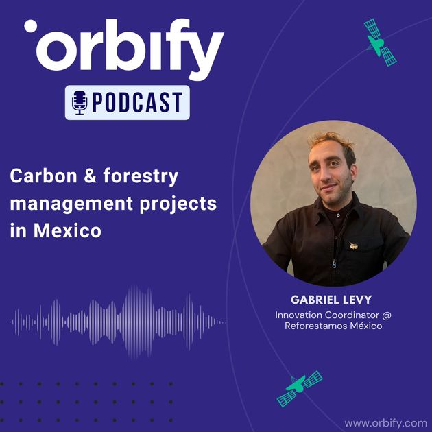 Orbify Interview: Carbon and forestry management projects in Mexico with Gabriel Levy, Innovation Coordinator at Reforestamos Mexico