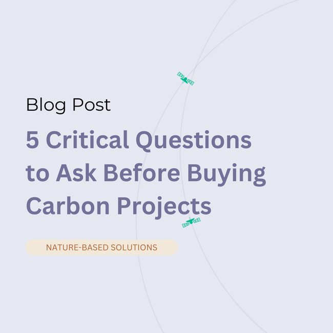 5 Critical Questions to Ask Before Buying Carbon Projects