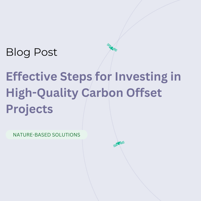 Effective Steps for Investing in High-Quality Carbon Offset Projects