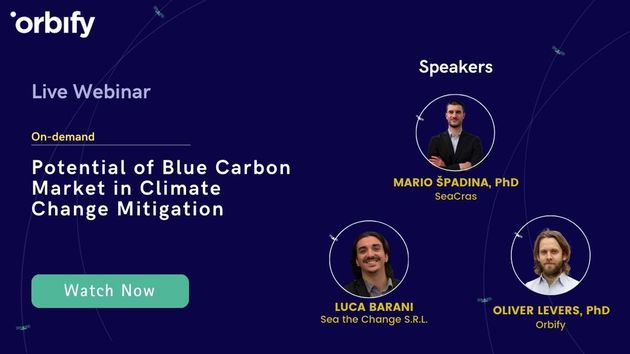 Potential of the Blue Carbon Market in Climate Change Mitigation