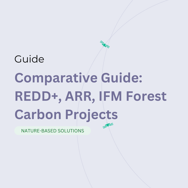 Comparative Guide: REDD+, ARR, and IFM Forest Carbon Projects