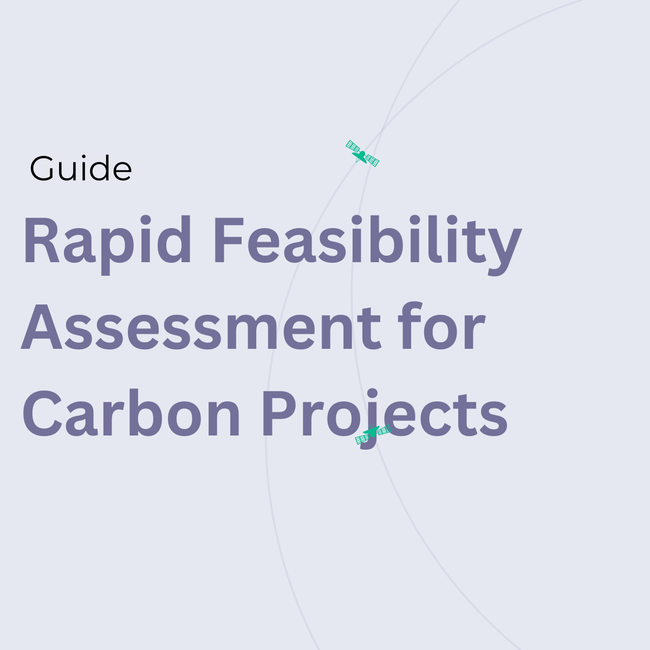 Rapid Feasibility Assessment for Carbon Projects