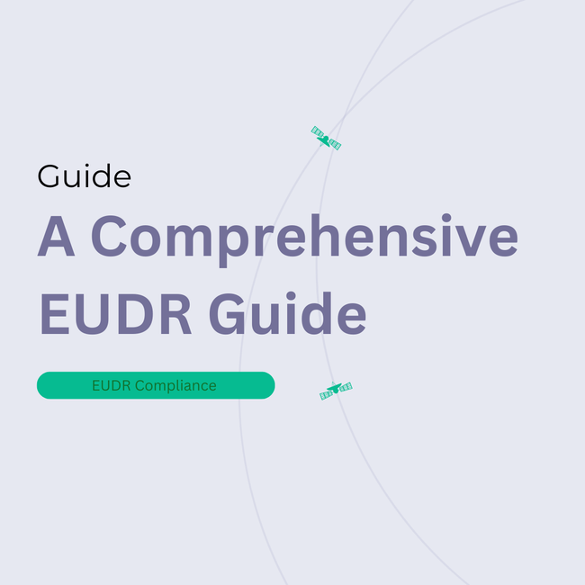 A Comprehensive EUDR Guide