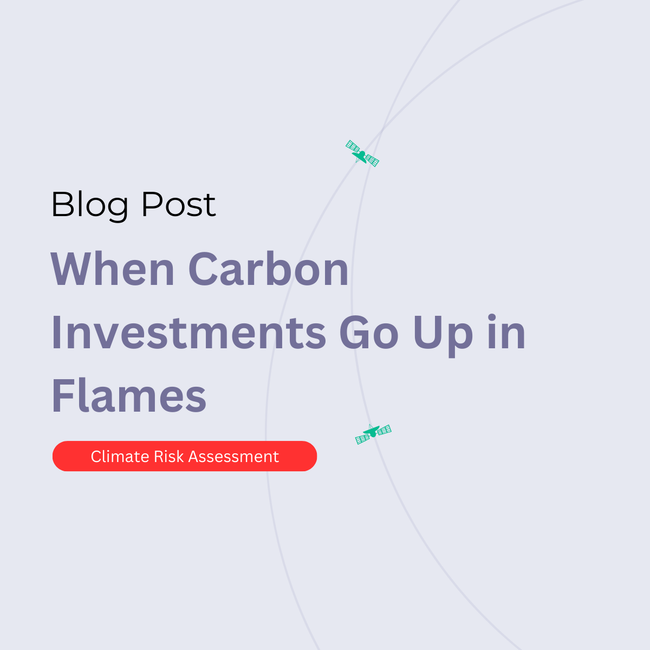 When Carbon Investments Go Up in Flames: Protecting Carbon Projects from FireRisks