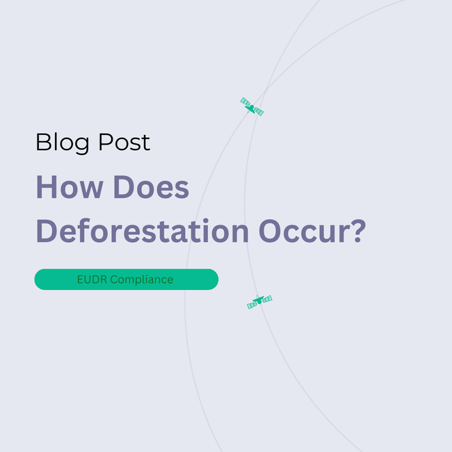 How Does Deforestation Occur?