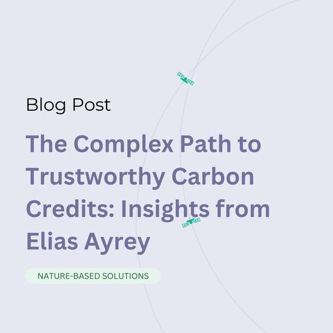 The Complex Path to Trustworthy Carbon Credits: Insights from Elias Ayrey of Renoster