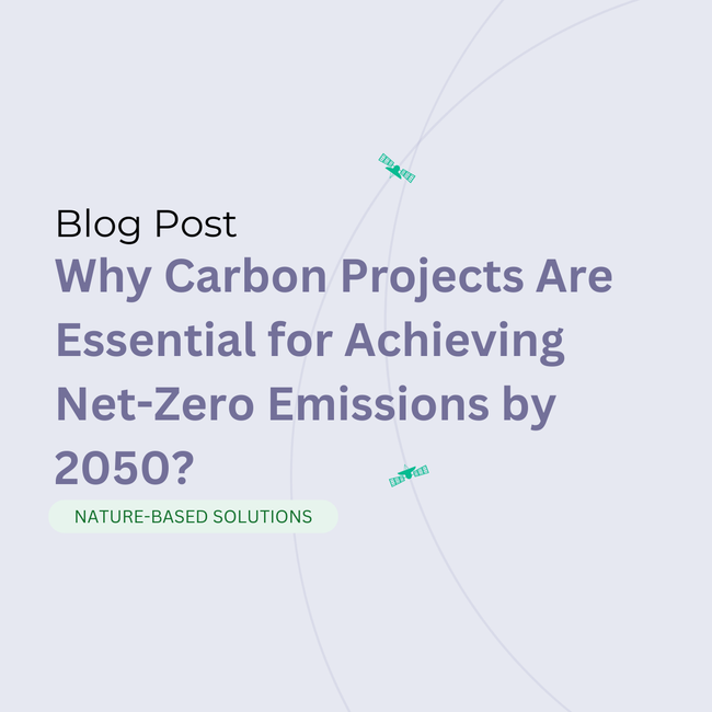 Why Carbon Projects Are Essential for Achieving Net-Zero Emissions by 2050?