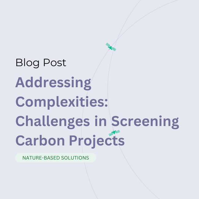 Addressing Complexities: Challenges in Screening Carbon Projects