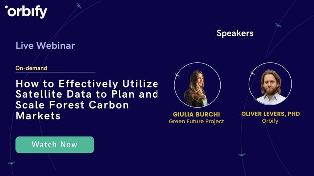 How to Effectively Utilize Satellite Data to Plan and Scale Forest Carbon Markets