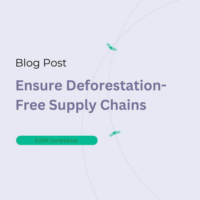 EUDR Compliance Platforms: Ensure Deforestation-Free Supply Chains