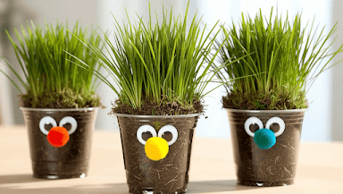 Renkli ponpon burunlu, gözlü ve ağız çizilmiş üç sevimli çimen kafa; okul öncesi çocuklar için doğa temalı el yapımı çim dikim etkinliği.
