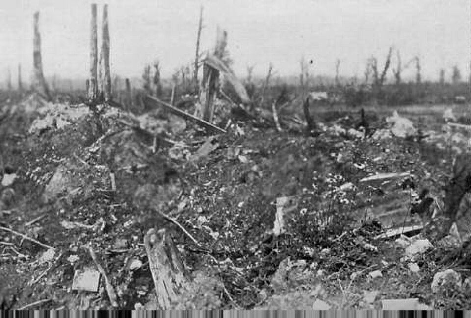 No Man’s Land on the Western Front — the killing ground the machine gun created between 1914 and 1918