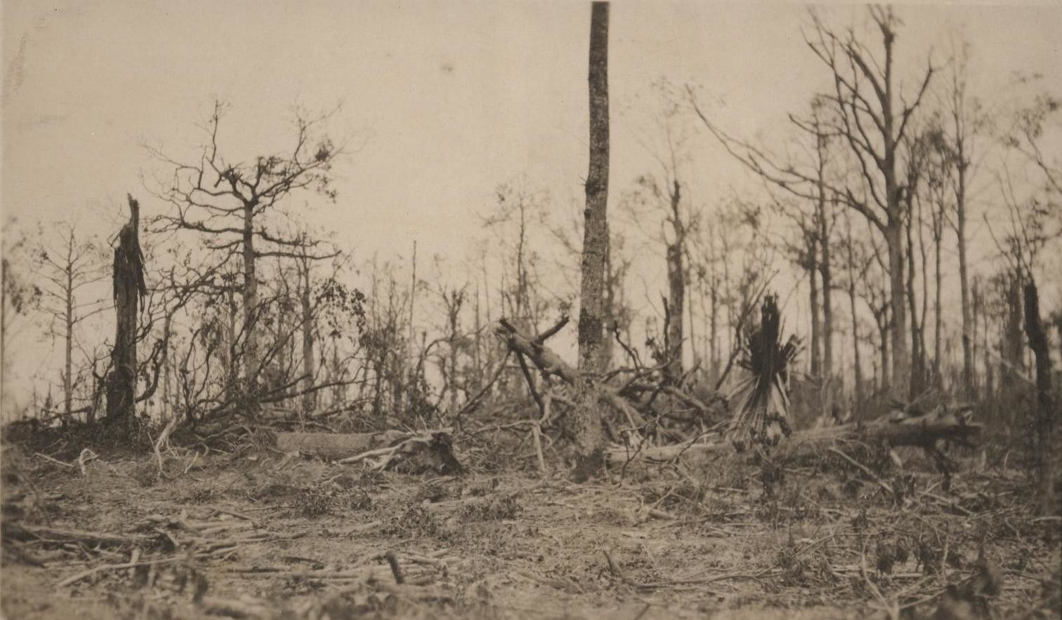 Belleau Wood aftermath, 1918