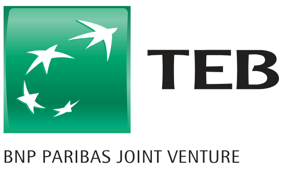 TEB Bank Logo