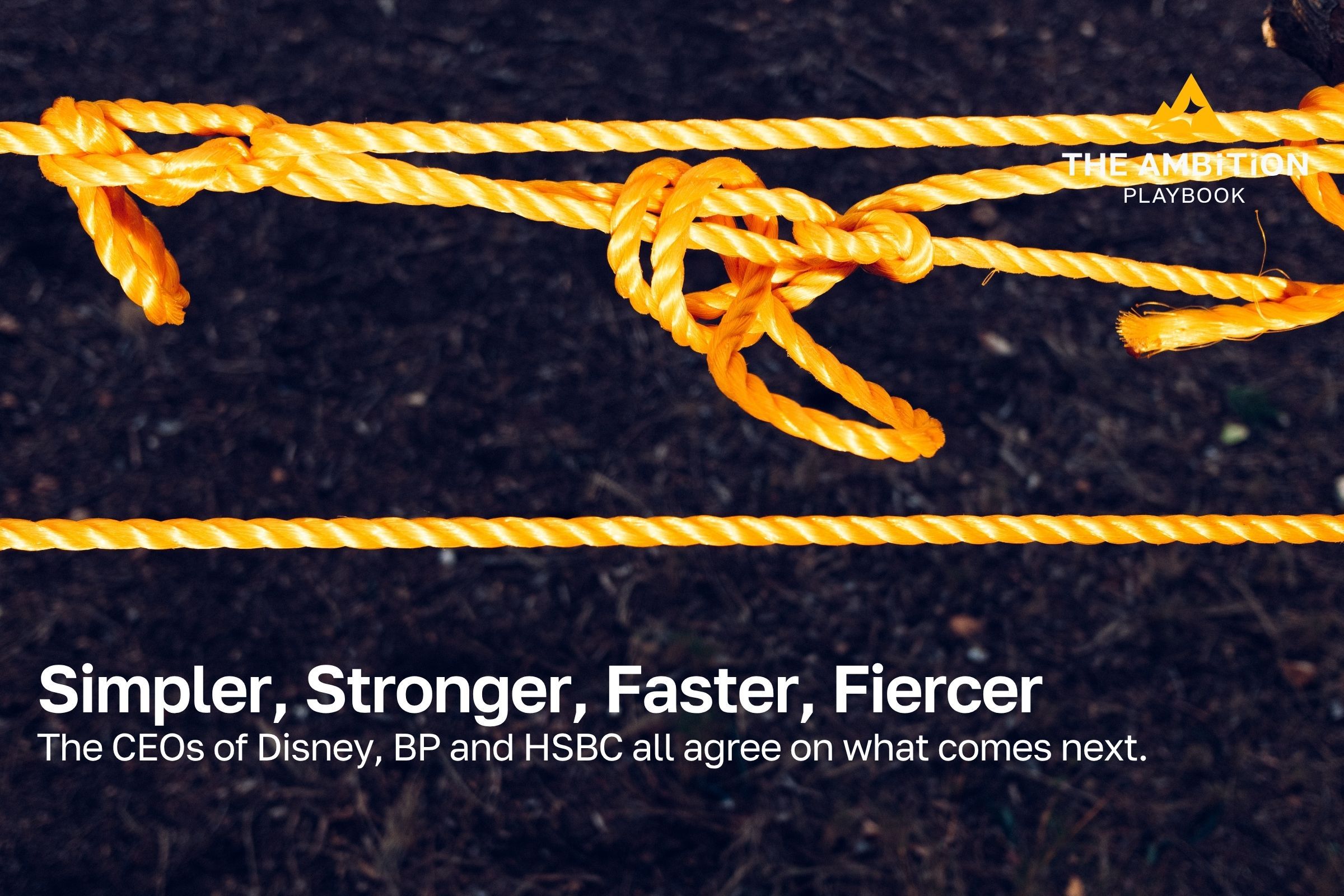 A tangled knot of golden rope above a single straight, taut line against dark ground, representing organizational complexity resolving into simplicity