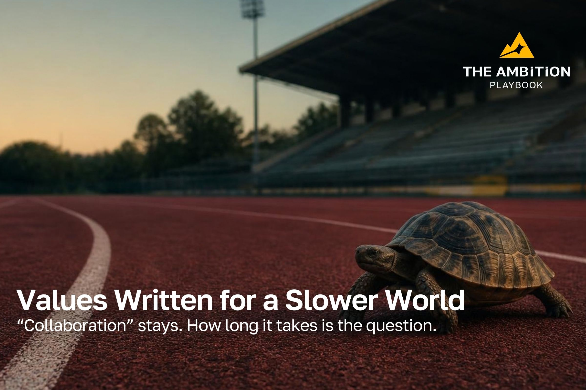 A tortoise on an empty athletics track at dusk, with the words Values Written for a Slower World