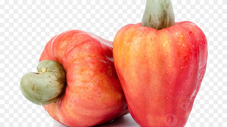 Quả Điều - Tinh Hoa Từ Thiên Nhiên