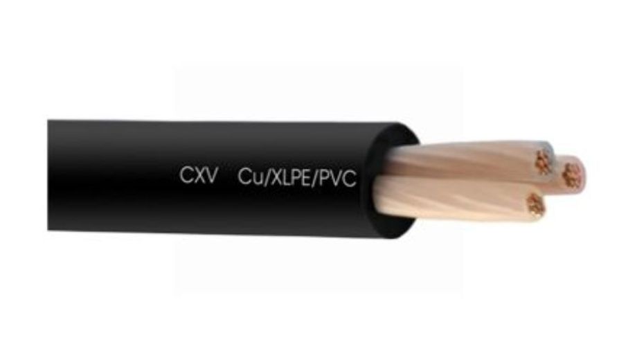 Cáp Điện Lực Hạ Thế CXV - 600V - JIS C3605:2002 (3 Lõi, Ruột Đồng, Cách Điện XLPE, Vỏ Bọc PVC)
