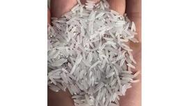 What Is Vietnamese Shrimp Rice? Comparison with Other Types of Rice