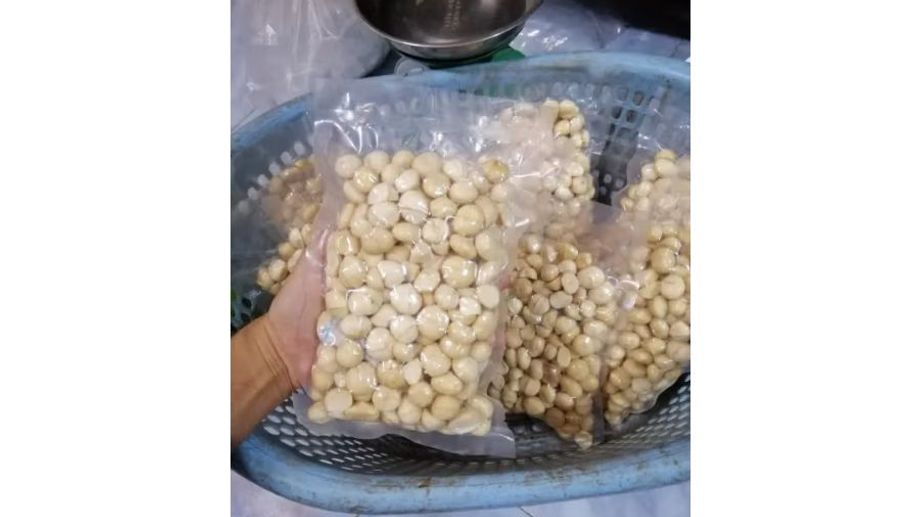 Nhân Macca (Mắc Ca) Sấy? Giá Trị Dinh Dưỡng Đối Với Sức Khỏe Là Gì?