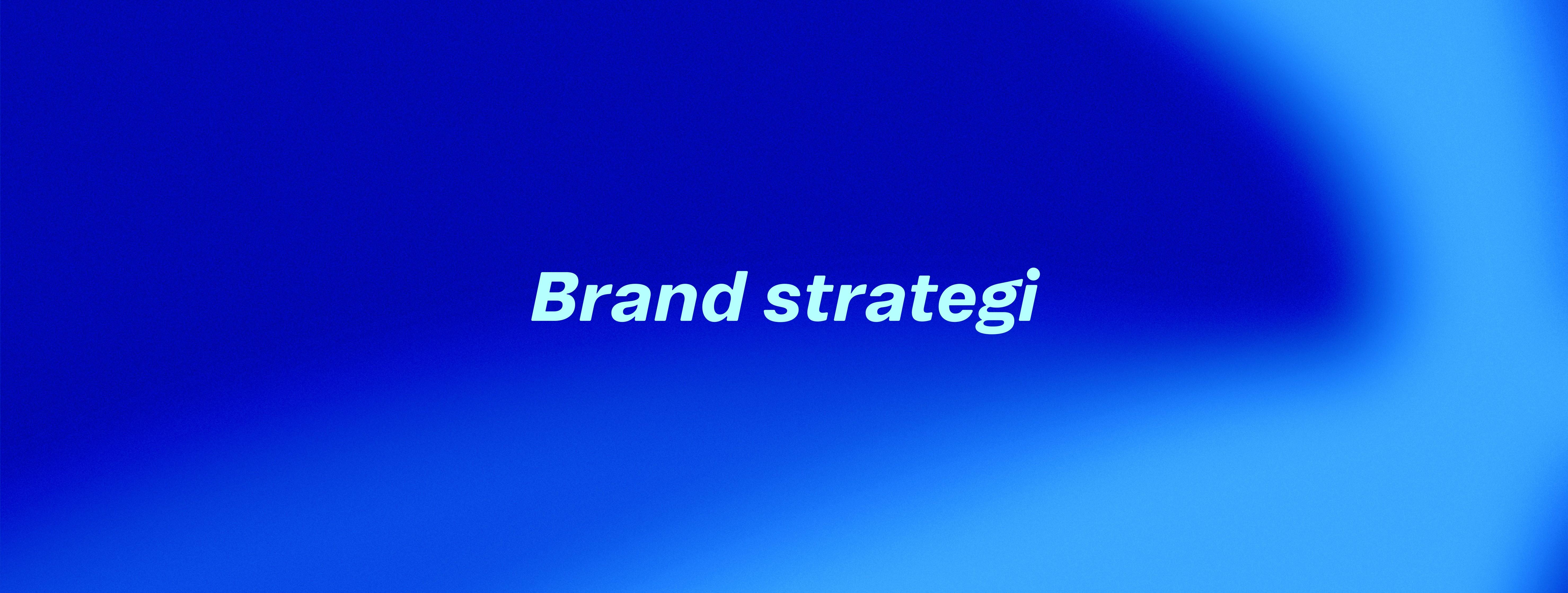 brand startegi