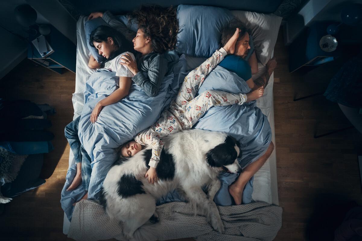 Full family have fallen asleep in the same bed