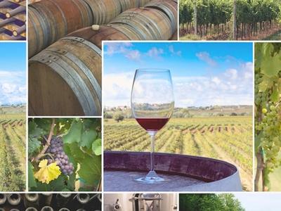 a collection of winery offerings in hospitality