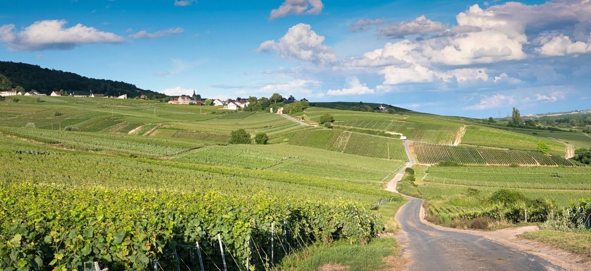 vallee de marne in champagne france during the summertime