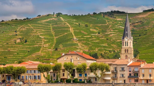 rhone valley wine hermitage vineyards