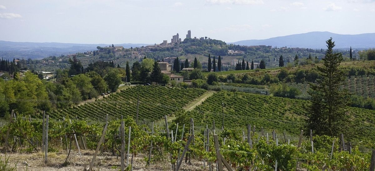 the hills of tuscany italy overlooking vineyards
