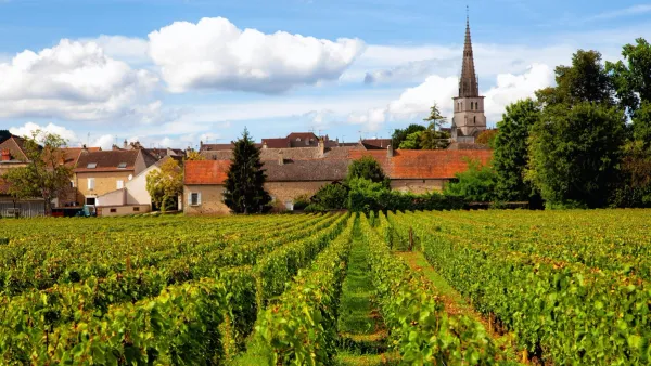 burgundy france wine region