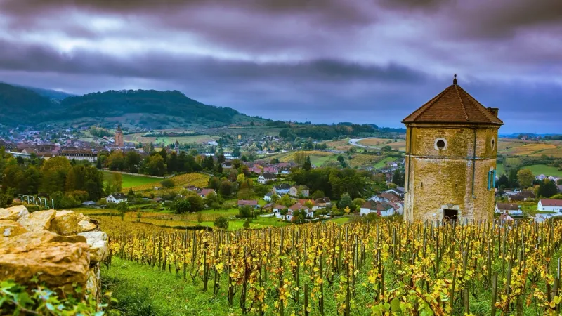 the jura wine region of france and its vineyards
