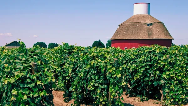 washington state vineyards in the pacific northwest of america