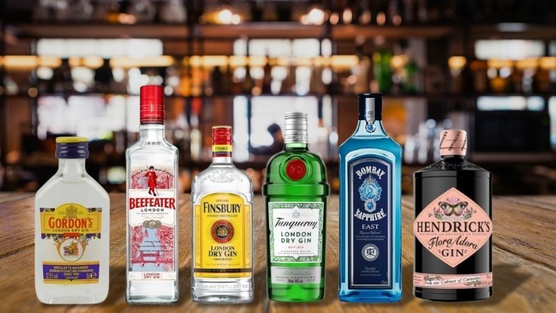 popular gin brands