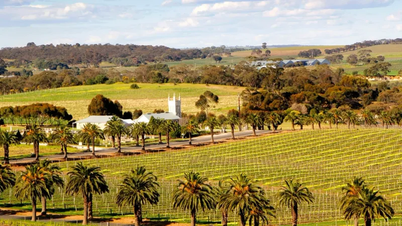 barossa valley australia vineyard