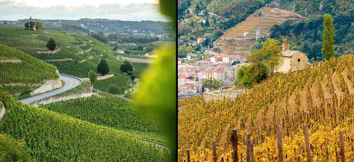 northern rhone valley wine hermitage