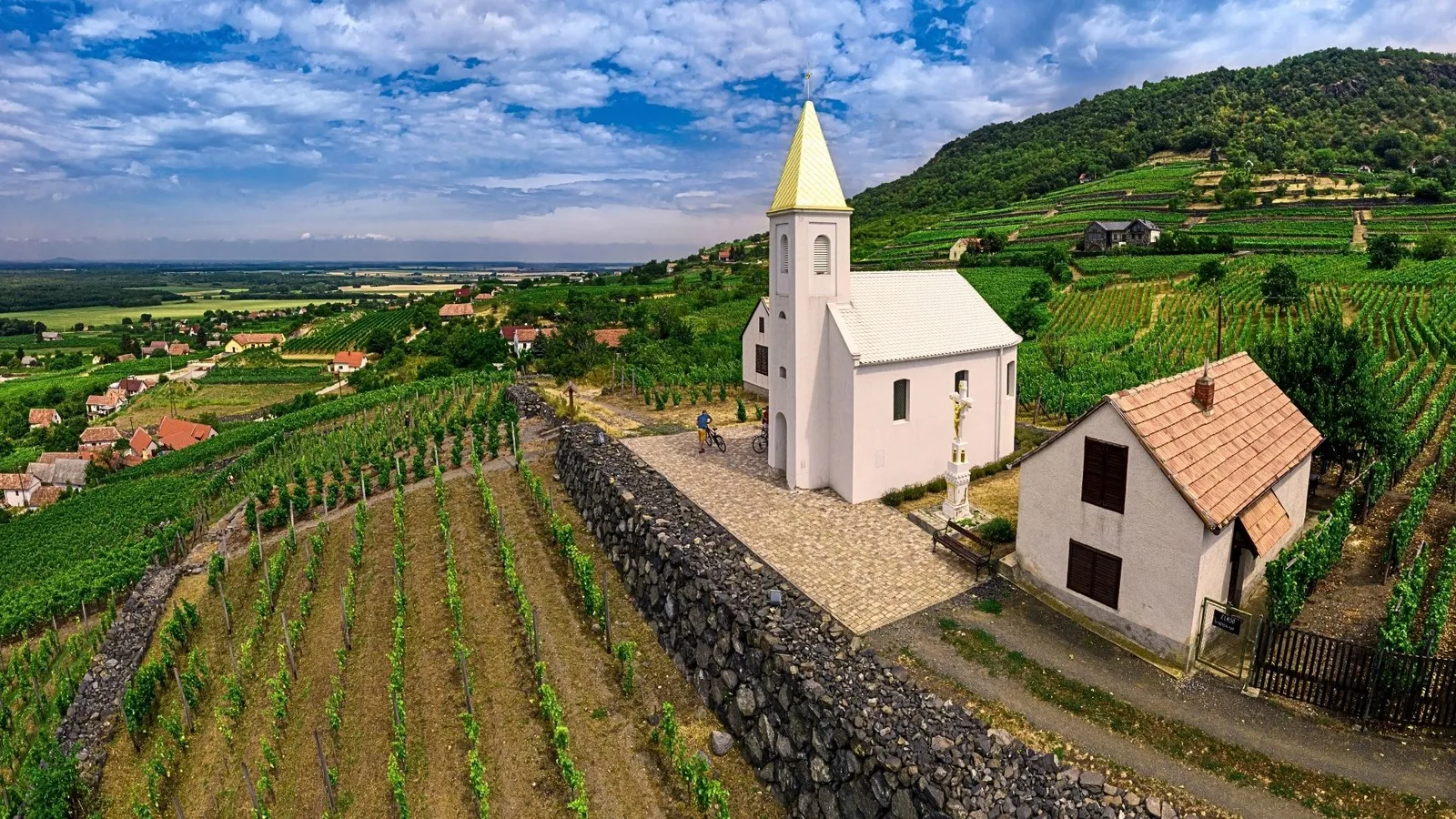 hungary wine region of tokaji and the surrounding hills